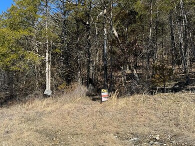 56 Ranch Rd, Saddlebrooke, MO 65630 - photo 7