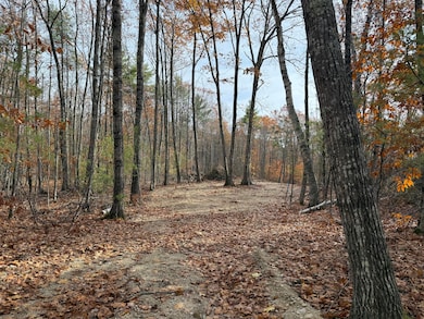 Lot 5 St Laurent Way, Shapleigh, ME 04076 - photo 4