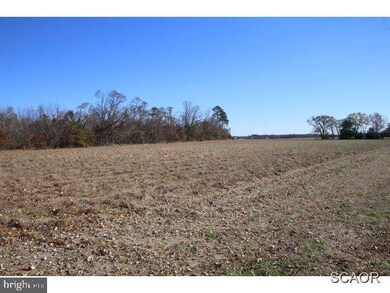 26123 Dupont Blvd, Georgetown, DE 19947 - photo 4