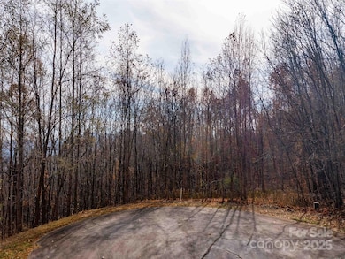 242 Nottingham Dr, Mill Spring, NC 28756 - photo 2