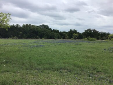 20011 Misty Valley Cir, Whitney, TX 76692 - photo 6