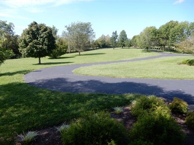 790 Elliston Ln, Versailles, KY 40383 - photo 7