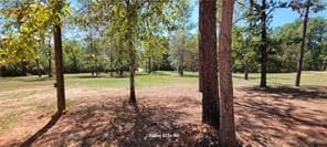 62377 Pine Meadow Rd, Amite, LA 70422 - photo 3