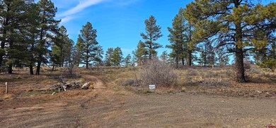 111 Tower Place, Pagosa Springs, CO 81147 - photo 6
