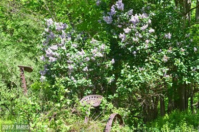 0 Shenandoah Mountain Rd unit 1000213733, Mathias, WV 26812 - photo 3