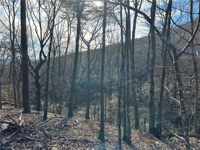 Lot 1141 Oglethorpe Mountain Road.