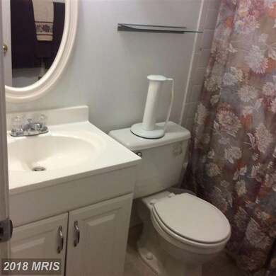 406 Willow Hill Place, Hyattsville, MD 20785 - photo 7