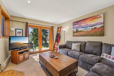 875 4 O Clock Rd unit D1, Breckenridge, CO 80424 - photo 2