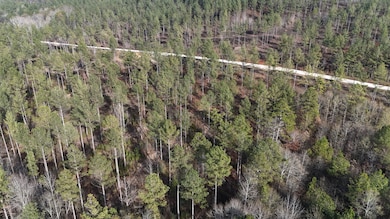 014 County Road 175, Piedmont, AL 36272 - photo 6