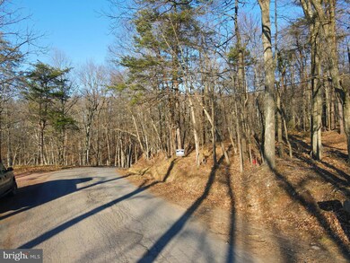 0 Spring Gap Rd unit WVHS2002540, Slanesville, WV 25444 - photo 4