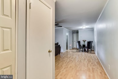 3132 Quartet Ln, Silver Spring, MD 20904 - photo 4