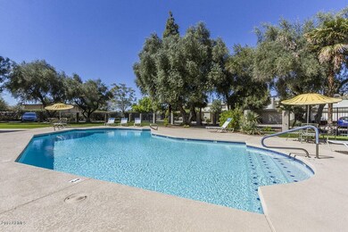 Pool_0708