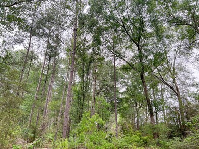 View of mother earth's splendor