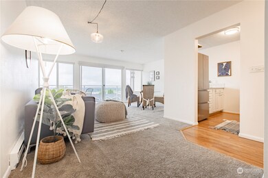 819 High St unit 314, Bellingham, WA 98225 - photo 6