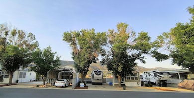 IMG_20250710_072908882