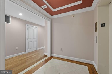 The Ritz-Carlton Residences, Baltimore, MD 21230 - photo 4