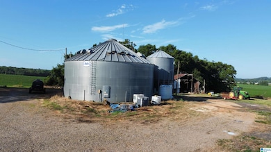 345 Conchardee Ln, Lincoln, AL 35096 - photo 3