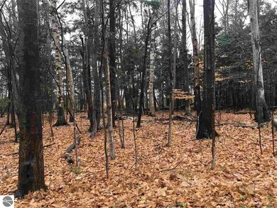 0 N Lighthouse Point Rd unit 1882059, Northport, MI 49670 - photo 2