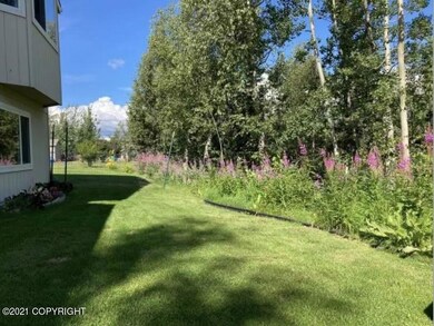 Lawn