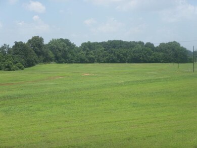 7 Braden Ln, Mason, TN 38049 - photo 3