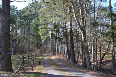 3832 Margits Ln, Trappe, MD 21673 - photo 4