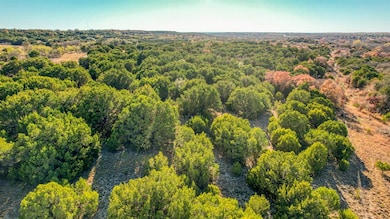 TBD-1 Thompson Rd, Weatherford, TX 76087 - photo 6