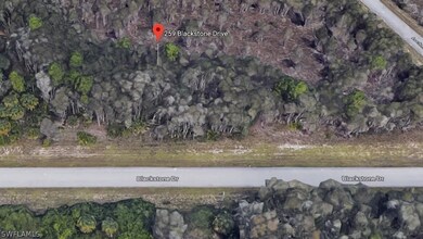 259 Blackstone Dr, Lehigh Acres, FL 33913 - photo 2