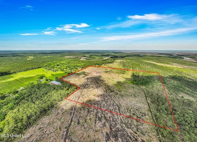 03 Bayou Cumbest Rd, Moss Point, MS 39562 - photo 3