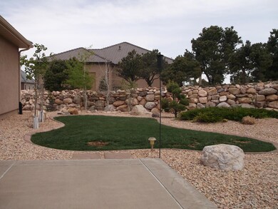 back yard