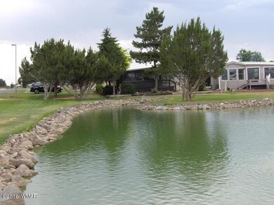 8233 Caddie's Way Lot #215 Way, Show Low, AZ 85901 - photo 5