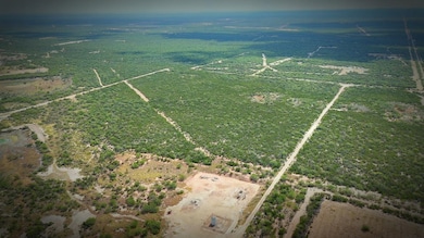 0 Abst 1033 Sur 13 unit 20254858, Laredo, TX 78043 - photo 2