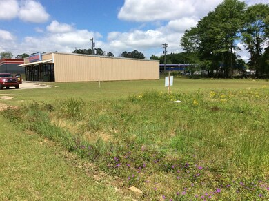 1253 S Forest Ave, Luverne, AL 36049 - photo 5