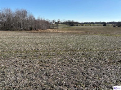 219 Owl Creek Dr, Vine Grove, KY 40175 - photo 2