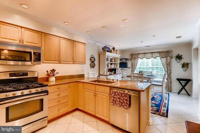 12011 Tralee Rd unit 306, Lutherville Timonium, MD 21093 - photo 5