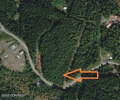 google earth showing location
