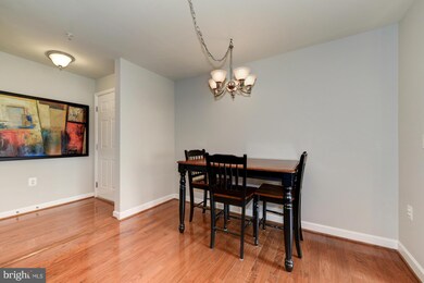 4081 S Four Mile Run Dr unit 303, Arlington, VA 22204 - photo 5