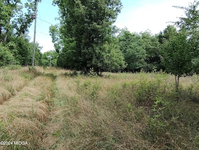 4400 Davis Rd, Macon, GA 31217 - photo 3