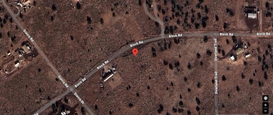 642 Birch Rd, Williams, AZ 86046 - photo 7