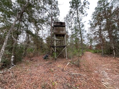 0 Joshua Rd, Marianna, FL 32448 - photo 6