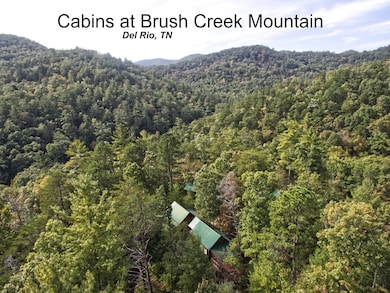 Vacation Rentals