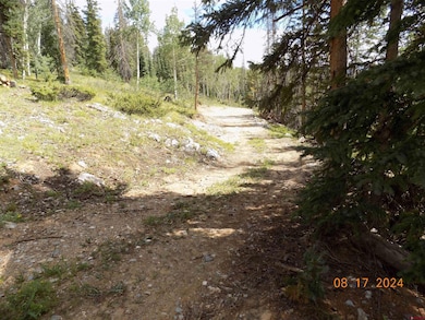 159 Lime Bluff Dr, Pitkin, CO 81241 - photo 3