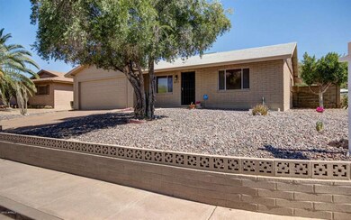 Desert Landscaping