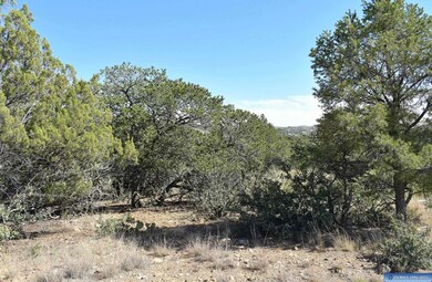 Lot 13 Hereford Dr, Silver City, NM 88061 - photo 6