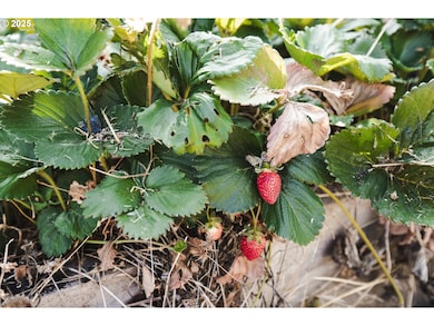 811 NE Clyde Place unit 116 C, Grants Pass, OR 97526 - photo 3