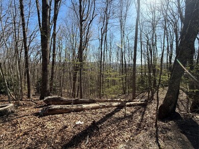 lot 22 Bright Mountain Rd, Cullowhee, NC 28723 - photo 3