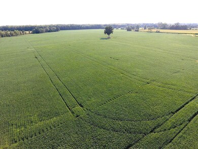 DJI_0005w
