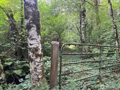 8822 Sherman Valley Rd SW, Olympia, WA 98512 - photo 3