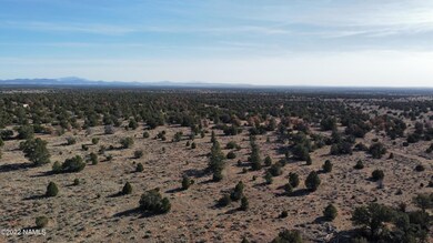 4633 N Hidden Ranch Rd Photo 7