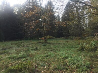 1060 Indian Springs Rd, Indiana, PA 15701 - photo 4