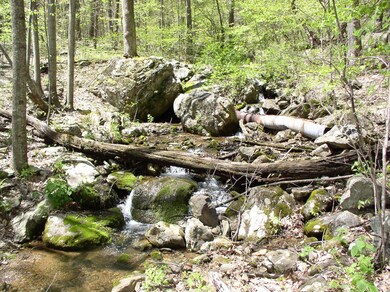 TBD Beech Grove Rd unit 644, Roseland, VA 22967 - photo 5